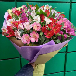 Монобукет из разноцветной альстромерии